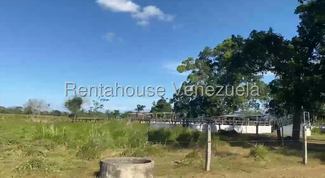 Terreno (Finca) en Venta en San Felipe, Yaracuy - 14