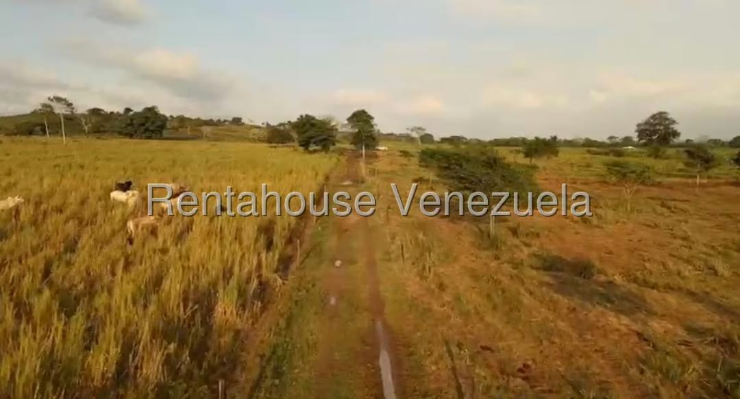 Terreno (Finca) en Venta en San Felipe, Yaracuy - 17