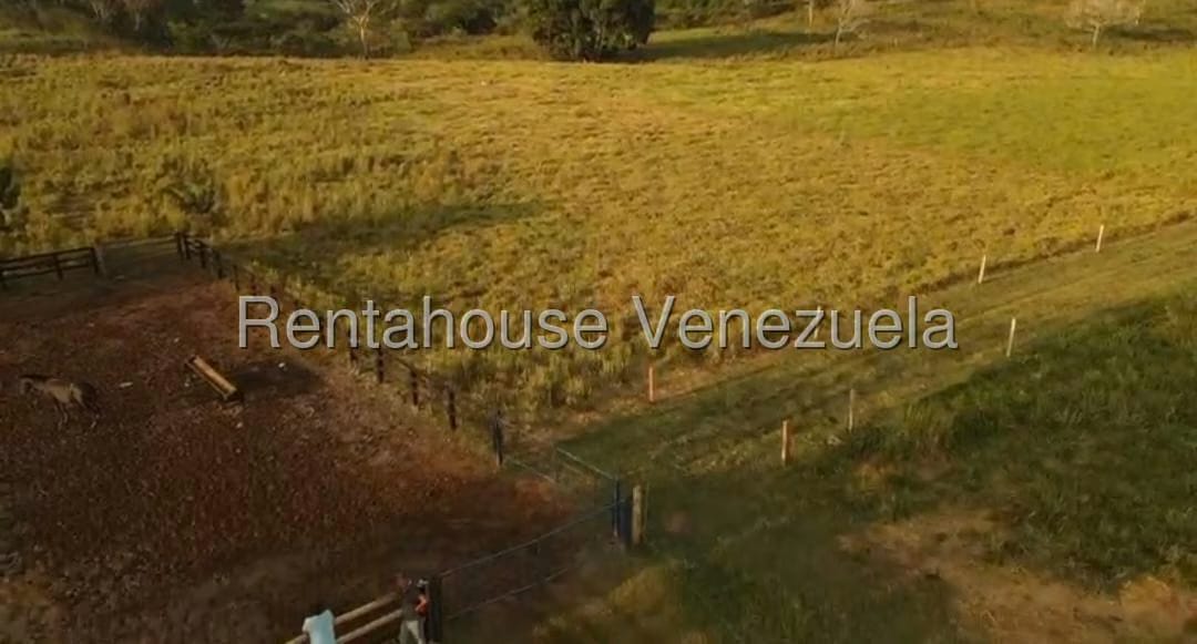 Terreno (Finca) en Venta en San Felipe, Yaracuy - 19