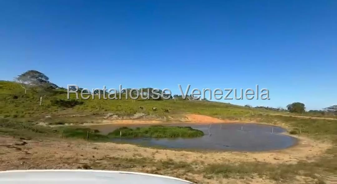 Terreno (Finca) en Venta en San Felipe, Yaracuy - 4