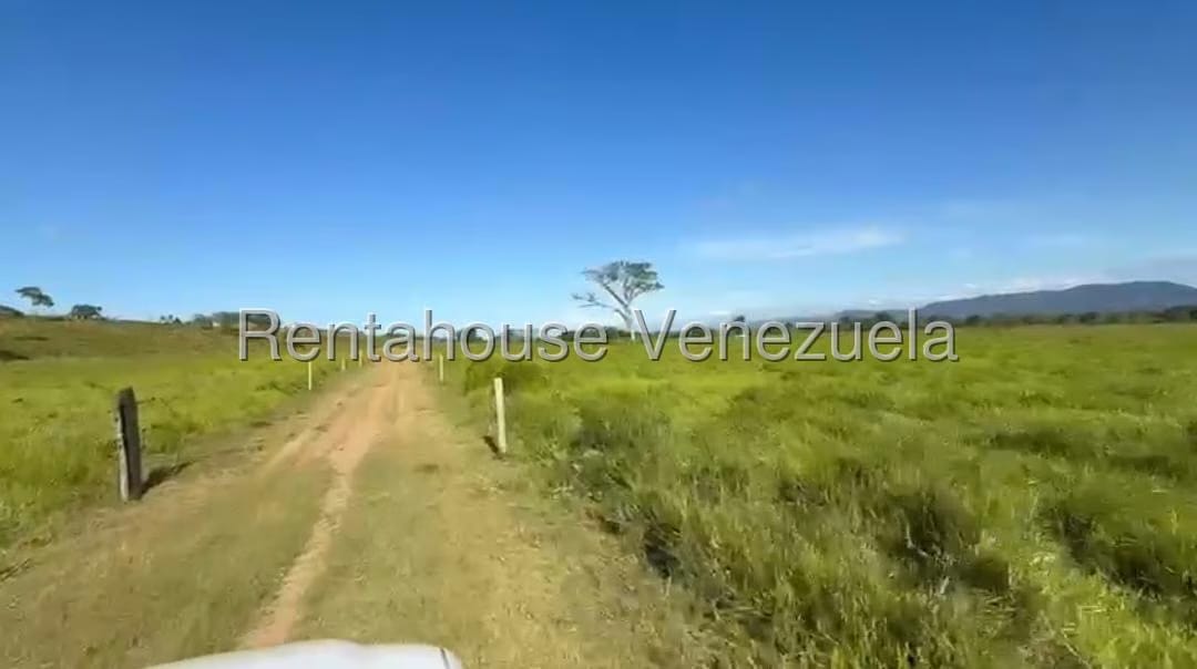 Terreno (Finca) en Venta en San Felipe, Yaracuy - 6