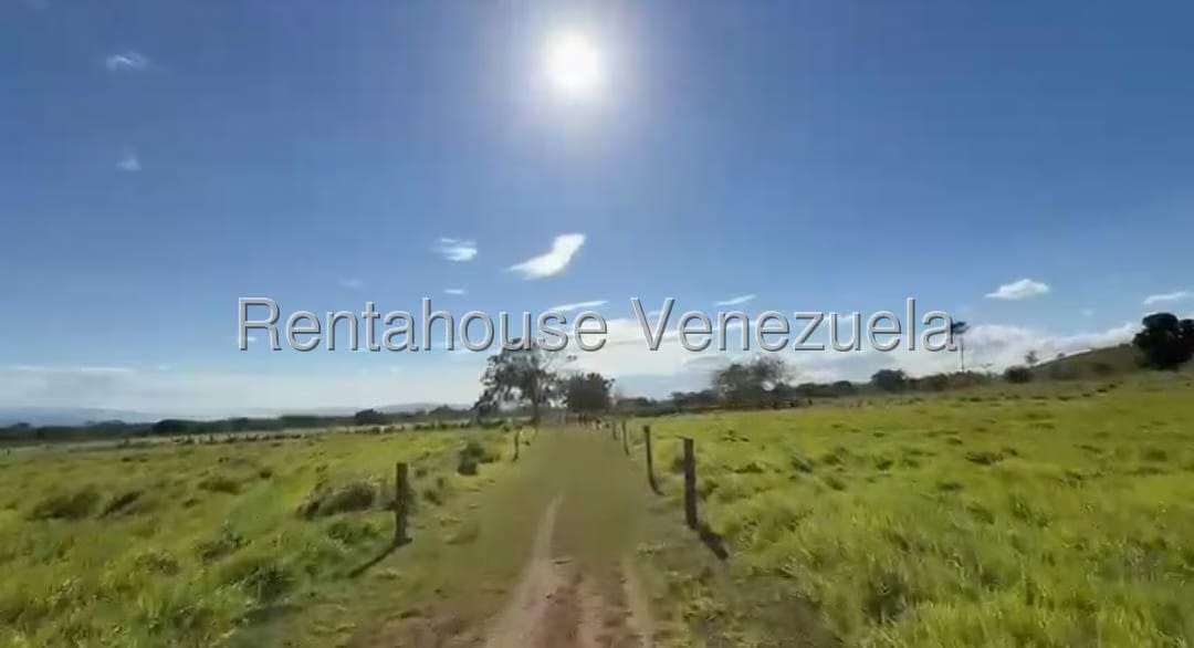 Terreno (Finca) en Venta en San Felipe, Yaracuy - 9