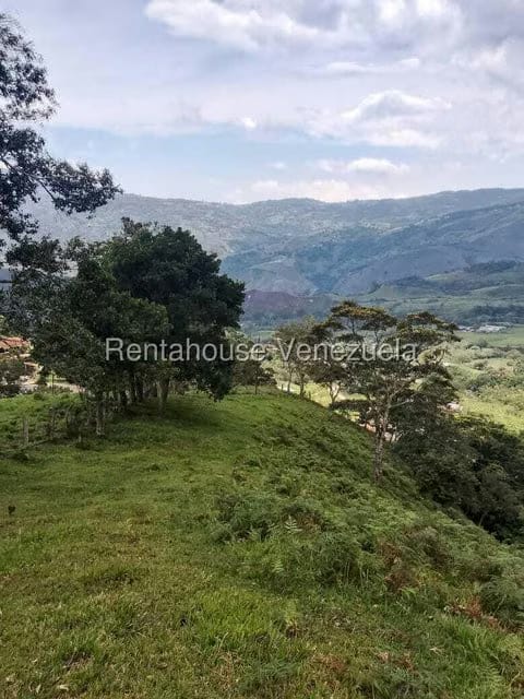 Terreno (Finca) en Venta en Centro, Tachira - 15