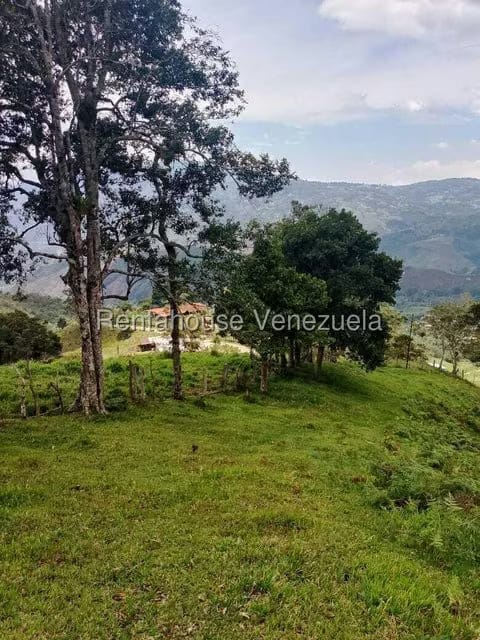 Terreno (Finca) en Venta en Centro, Tachira - 16