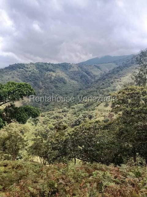 Terreno (Finca) en Venta en Centro, Tachira - 17