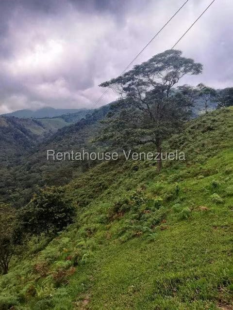 Terreno (Finca) en Venta en Centro, Tachira - 18