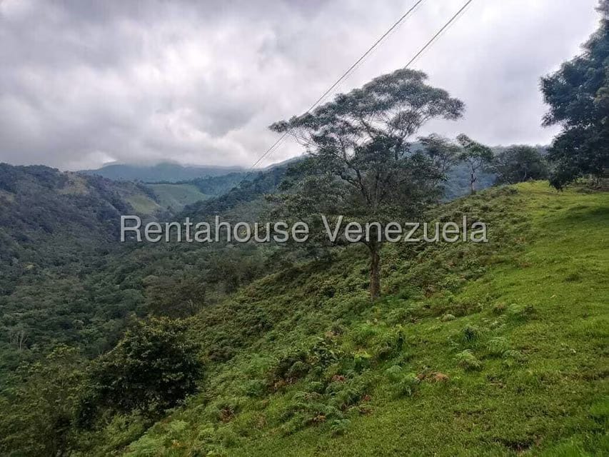 Terreno (Finca) en Venta en Centro, Tachira - 20
