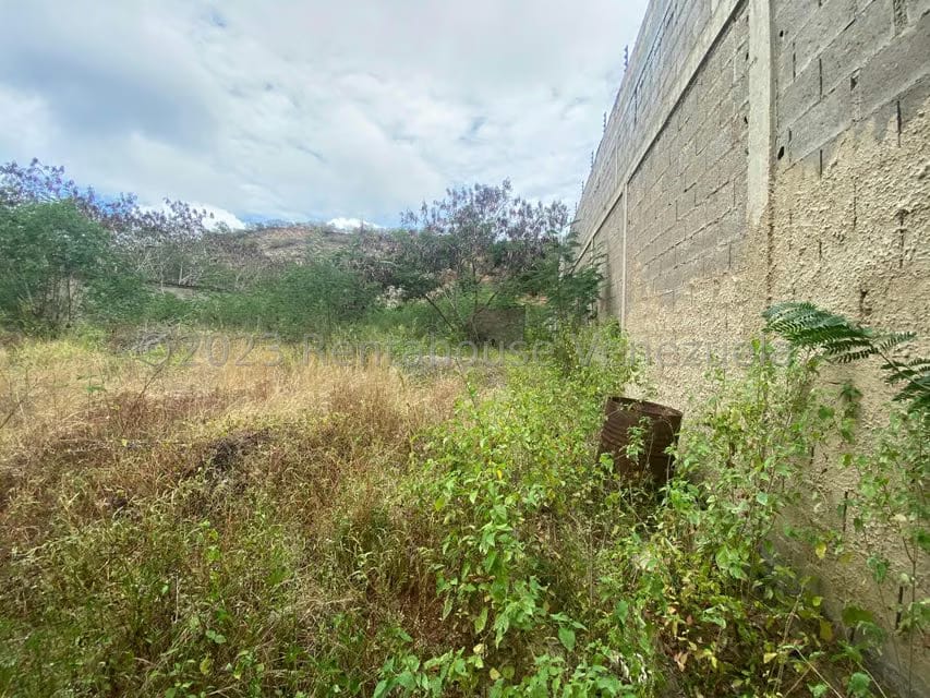 Terreno (Comercial) en Venta en Los Robles, Nueva Esparta - 9