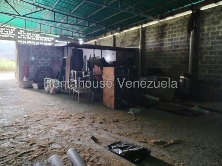 Comercial (Galpon - Deposito) en Venta en Bejuma, Carabobo - 4