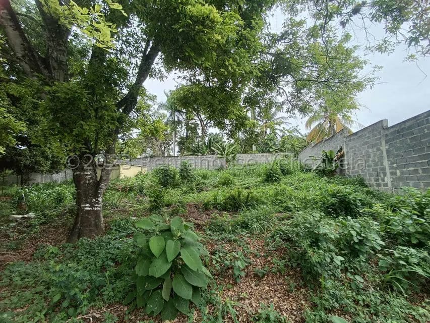 Terreno (Residencial) en Venta en Agua Viva, Lara - 15