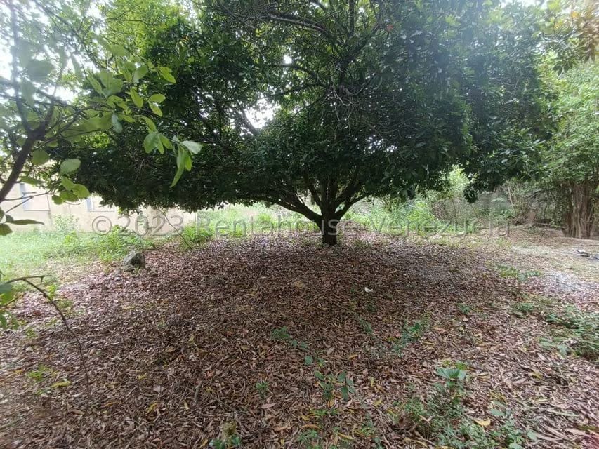 Terreno (Residencial) en Venta en Agua Viva, Lara - 17