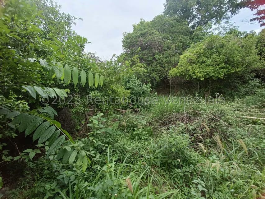 Terreno (Residencial) en Venta en Agua Viva, Lara - 19