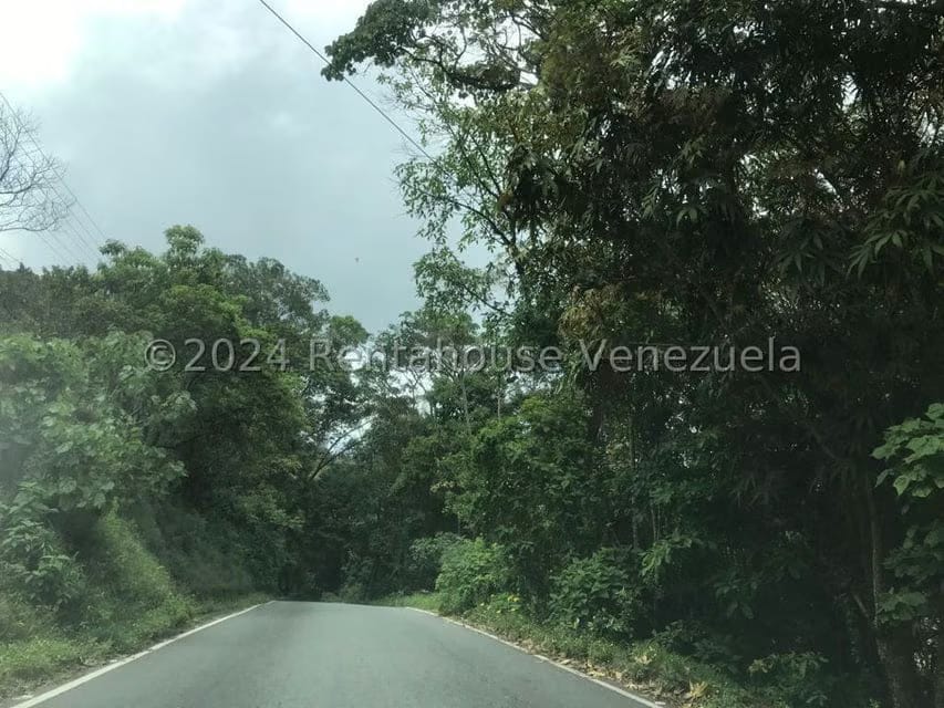 Terreno (Finca) en Venta en El Junko Country Club, Vargas - 2