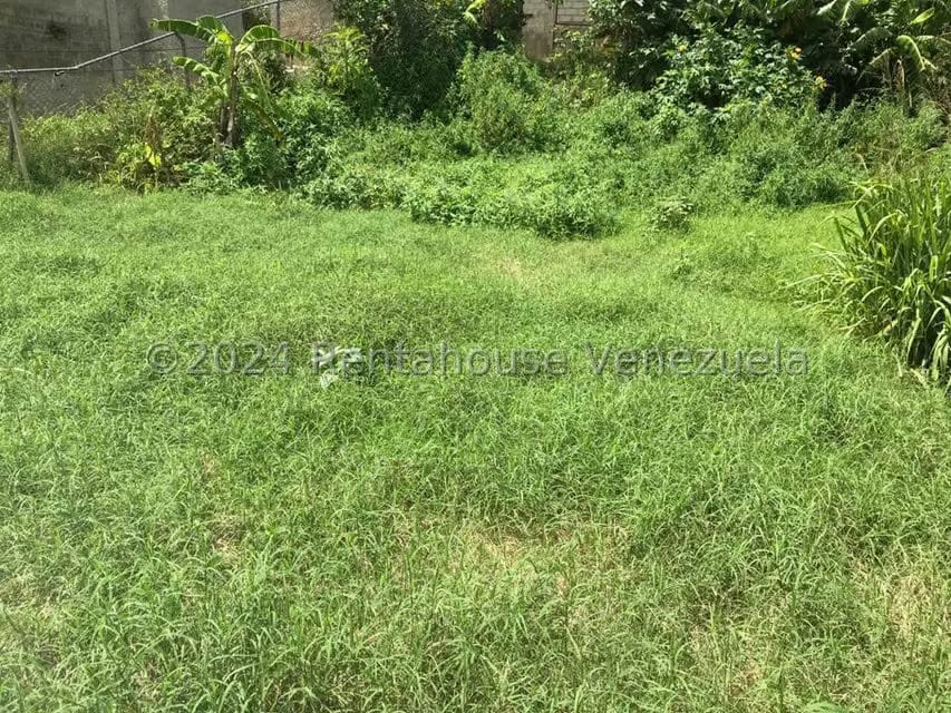 Terreno (Finca) en Venta en El Junko Country Club, Vargas - 9