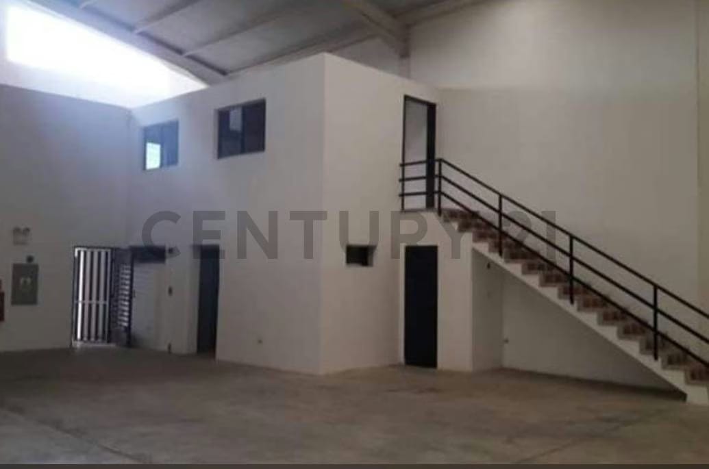 Galpon en Venta Sector Los Jarales San Diego - 10