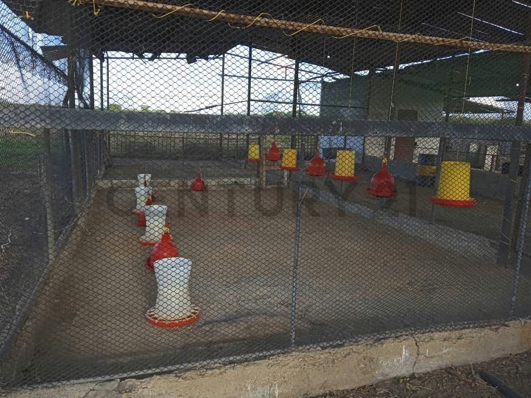 Hermosa Finca en Venta. Ubicación : San Joaquín. - 8