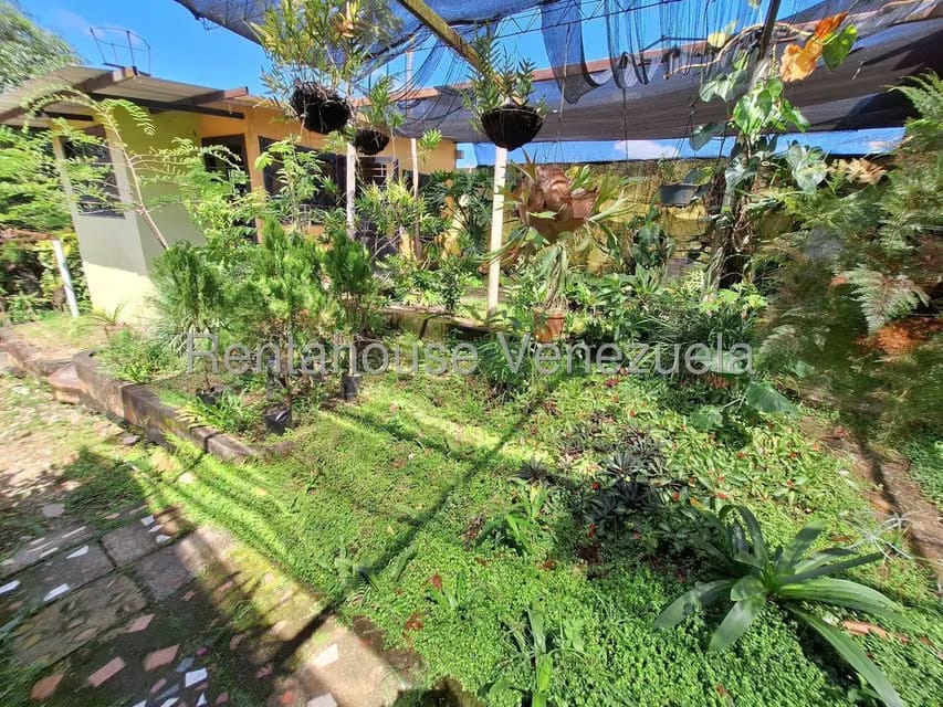 Comercial (Local Comercial) en Venta en Santiago de Onia, Merida - 2