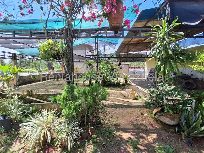 Comercial (Local Comercial) en Venta en Santiago de Onia, Merida - 12