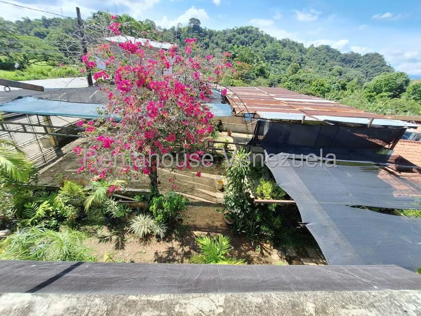 Comercial (Local Comercial) en Venta en Santiago de Onia, Merida - 14