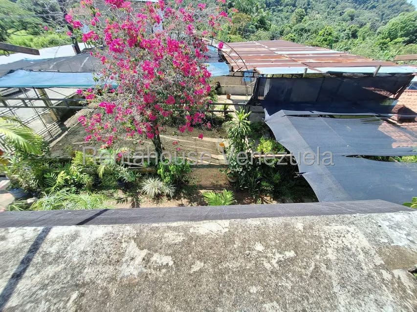 Comercial (Local Comercial) en Venta en Santiago de Onia, Merida - 15