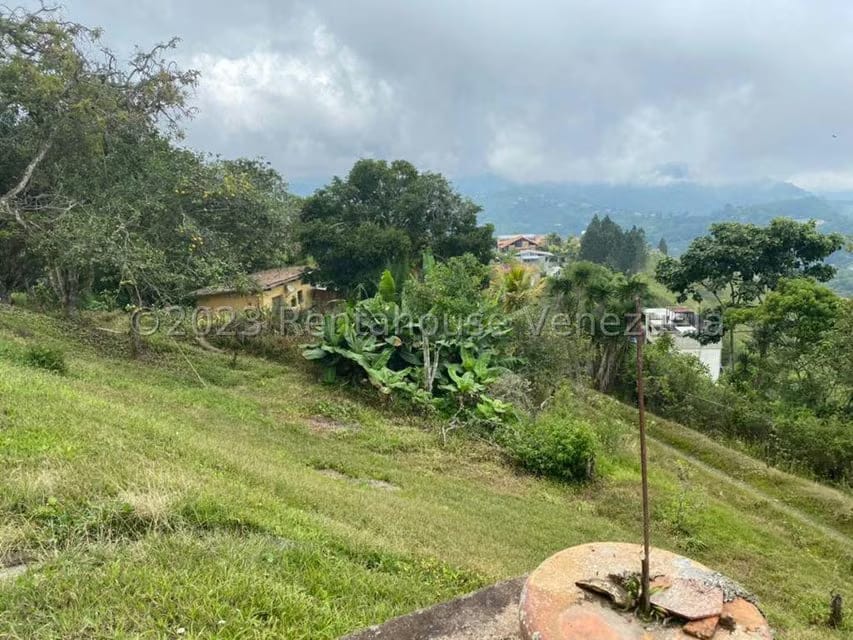 Terreno (Residencial) en Venta en Los Guayabitos, Distrito Metropolitano - 2