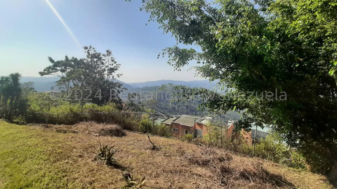 Terreno (Residencial) en Venta en Los Guayabitos, Distrito Metropolitano - 6