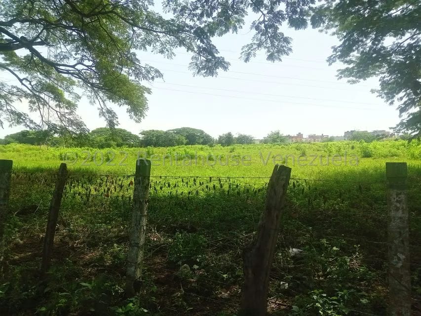 Terreno (Comercial) en Venta en Flor Amarillo, Carabobo - 2