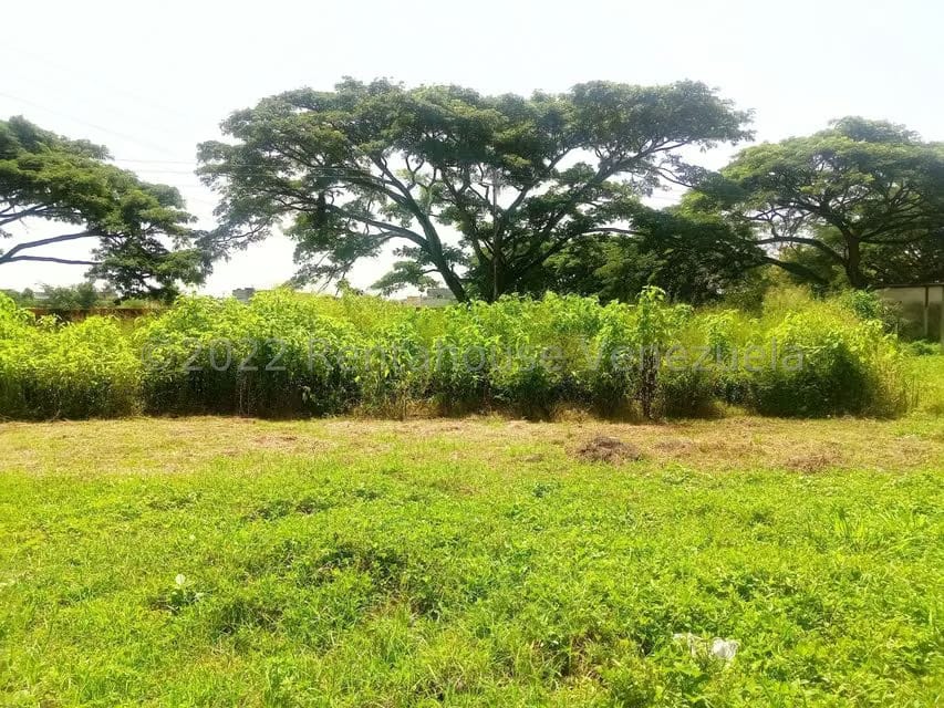 Terreno (Comercial) en Venta en Flor Amarillo, Carabobo - 3