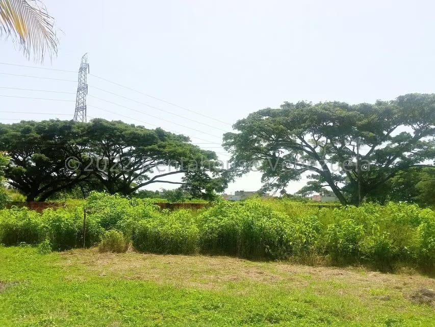 Terreno (Comercial) en Venta en Flor Amarillo, Carabobo - 6