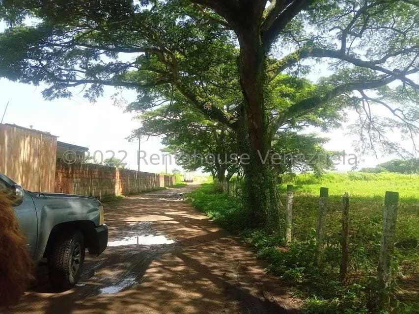 Terreno (Comercial) en Venta en Flor Amarillo, Carabobo - 9
