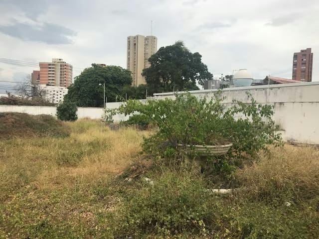 Terreno (Residencial) en Venta en Creole, Zulia - 9