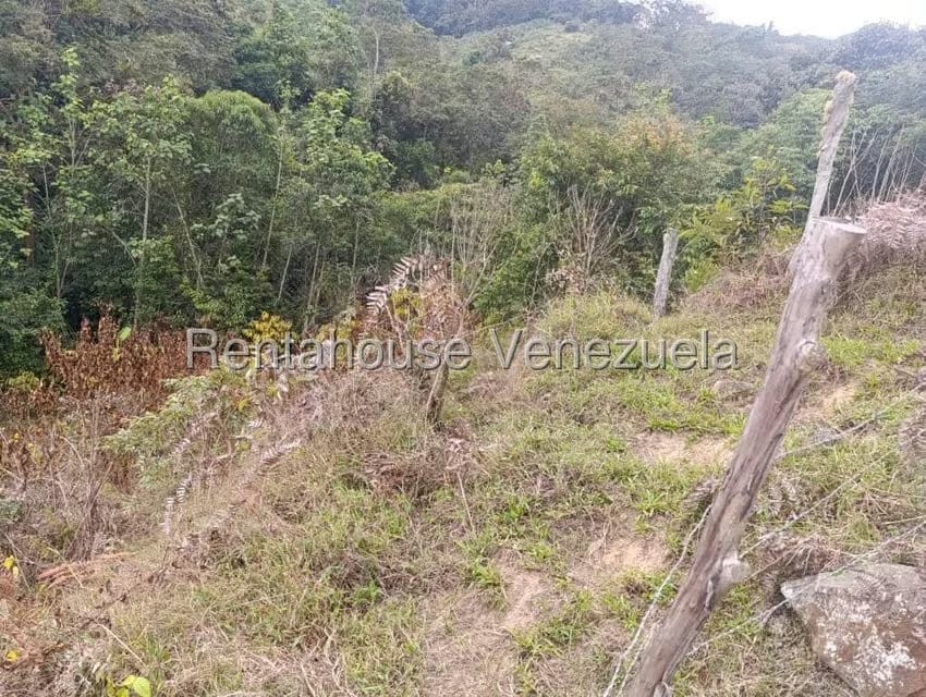 Terreno (Finca) en Venta en Tachira, Tachira - 3