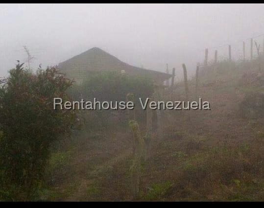 Terreno (Finca) en Venta en Tachira, Tachira - 5