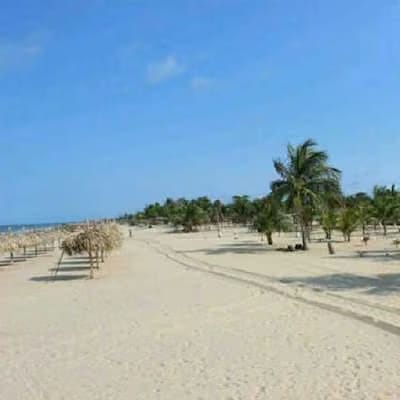 Negocios y Empresas (Hotel) en Venta en Los Canales de Rio Chico, Miranda - 17