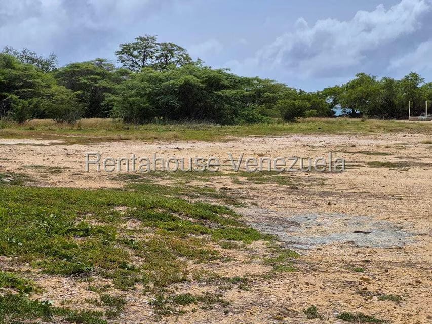 Terreno (Industrial) en Venta en Tucacas, Falcon - 7