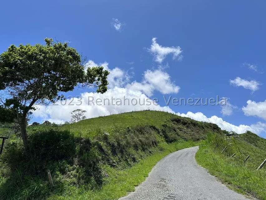 Terreno (Finca) en Venta en El Limon, Miranda - 2