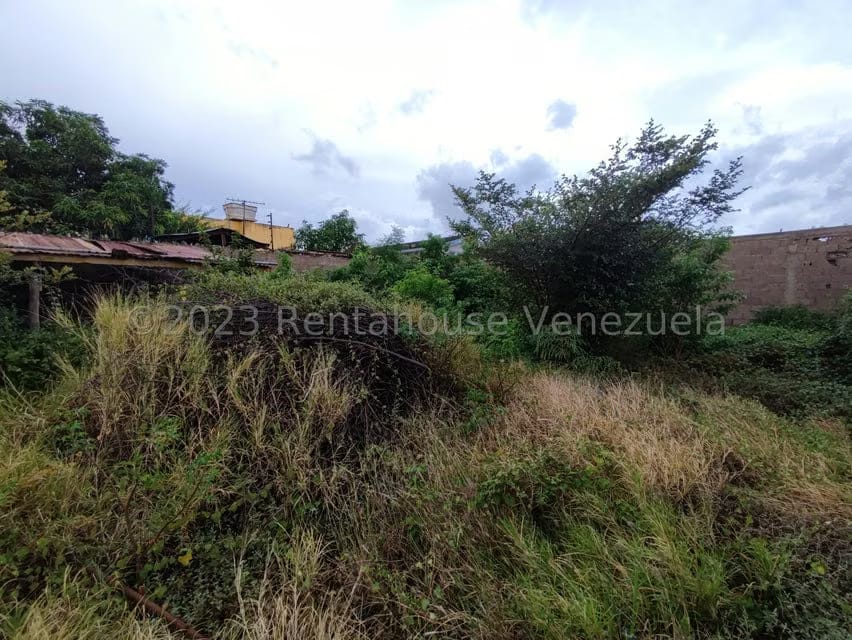 Comercial (Galpon - Deposito) en Alquiler en Sector Bobare, Falcon - 6