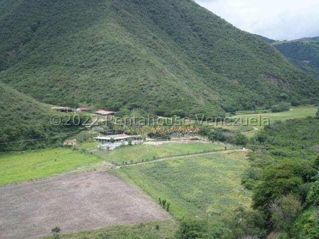 Terreno (Finca) en Venta en El Manzano, Lara