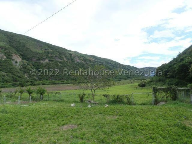 Terreno (Finca) en Venta en El Manzano, Lara - 25