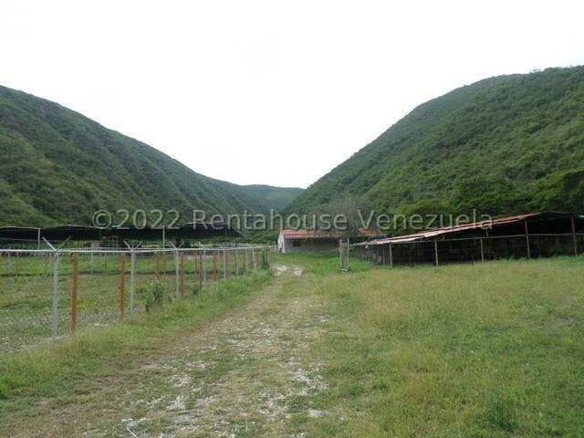 Terreno (Finca) en Venta en El Manzano, Lara - 26