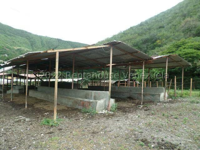 Terreno (Finca) en Venta en El Manzano, Lara - 29