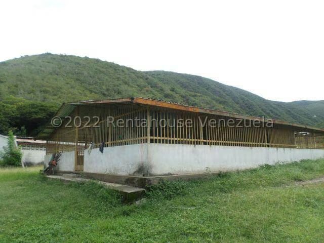 Terreno (Finca) en Venta en El Manzano, Lara - 37