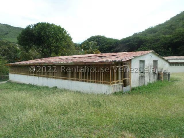 Terreno (Finca) en Venta en El Manzano, Lara - 38
