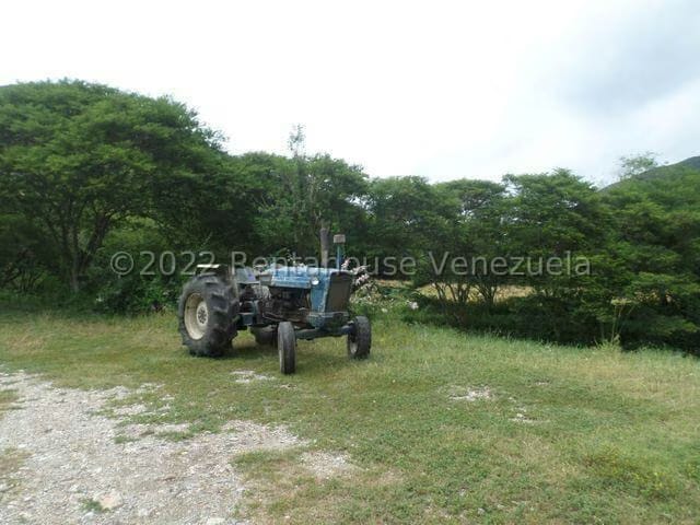 Terreno (Finca) en Venta en El Manzano, Lara - 39