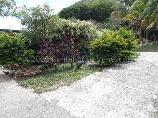 Terreno (Finca) en Venta en El Manzano, Lara - 5