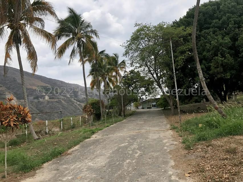 Terreno (Finca) en Venta en El Manzano, Lara - 52