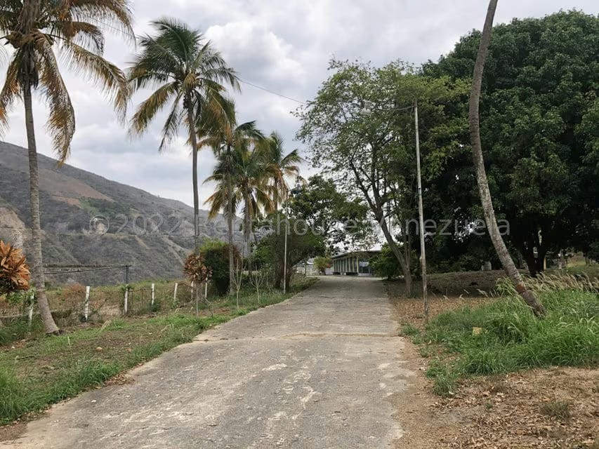 Terreno (Finca) en Venta en El Manzano, Lara - 53