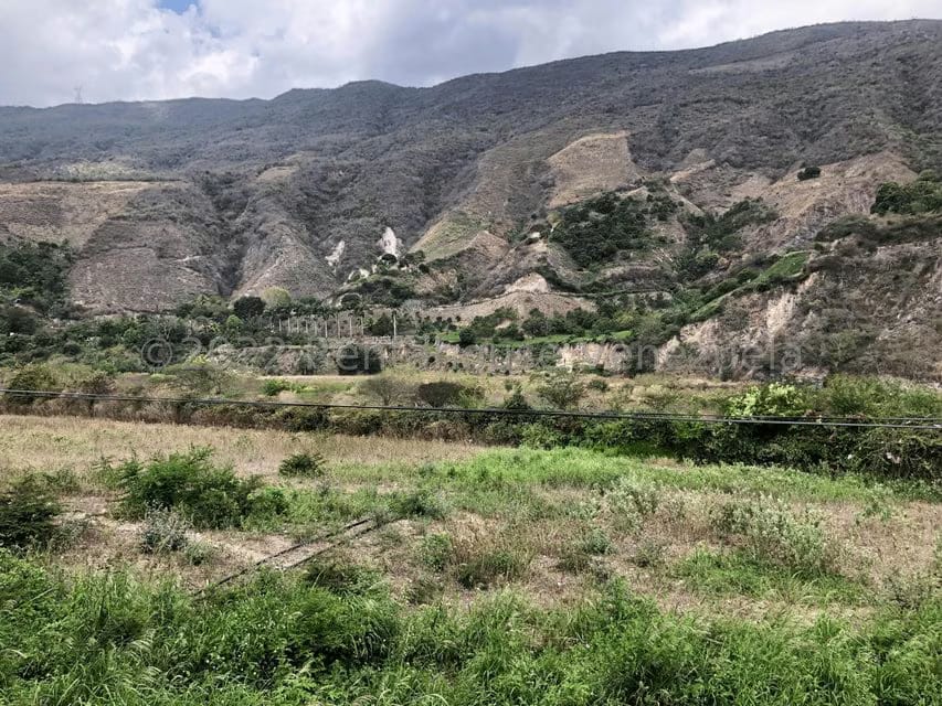 Terreno (Finca) en Venta en El Manzano, Lara - 54