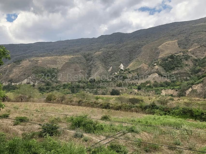 Terreno (Finca) en Venta en El Manzano, Lara - 55