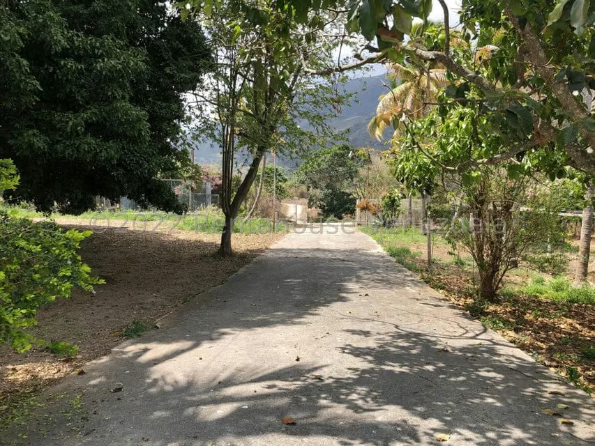 Terreno (Finca) en Venta en El Manzano, Lara - 80